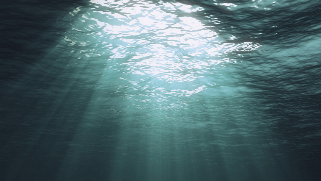 The Depth of Identity: When the Body Speaks What the Soul Is Afraid to Say